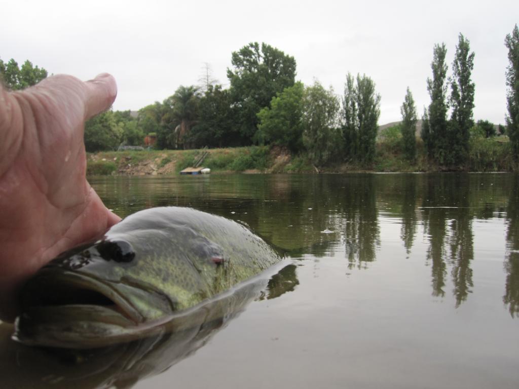 Bonnievale River Lodge Bagian luar foto